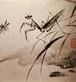 Shitao Studien von Insekten Mante 1707 traditionellen chinesischen